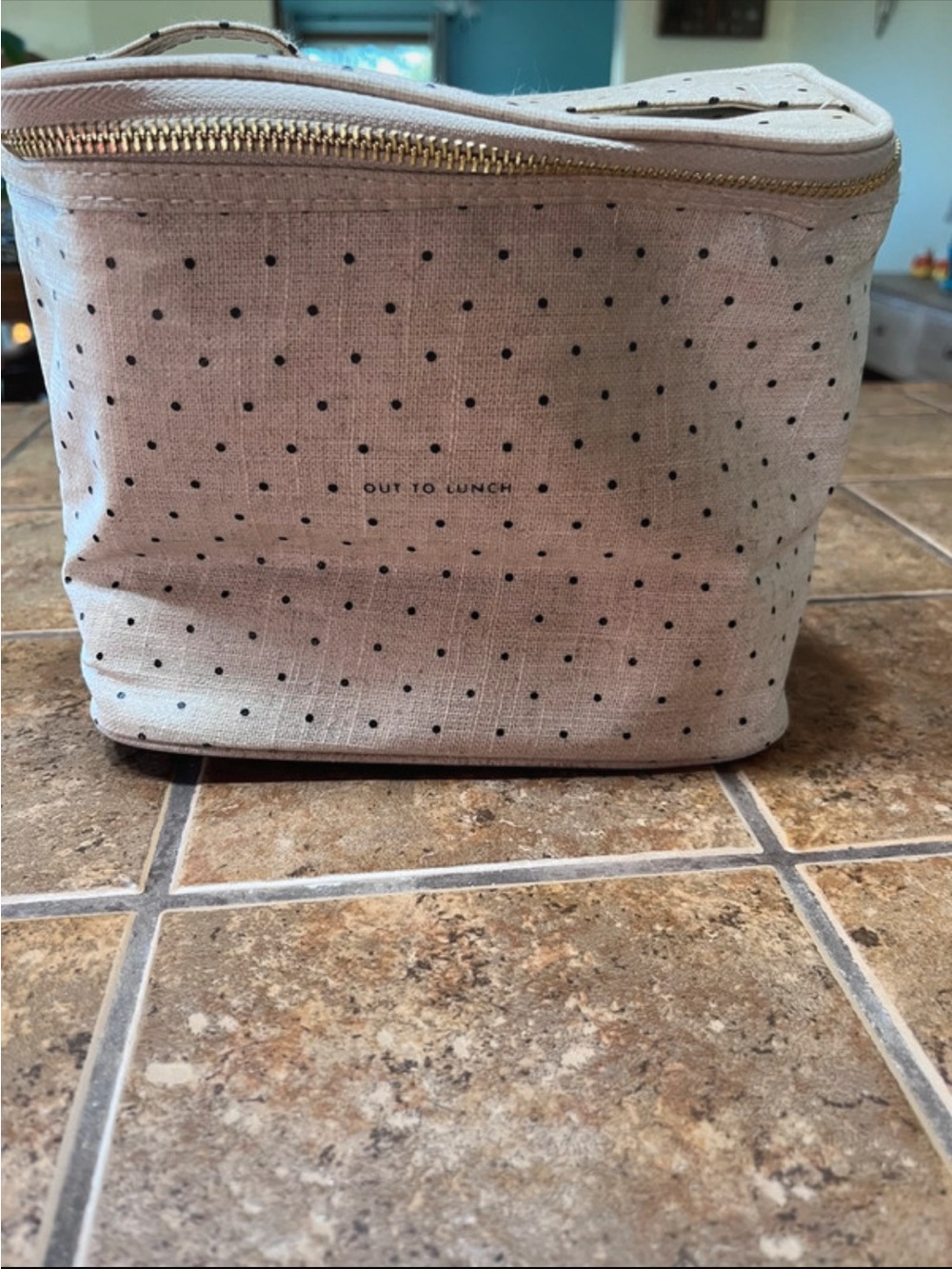 kate spade Cream Canvas Polka Dot Out To Lunch insulated lunch tote